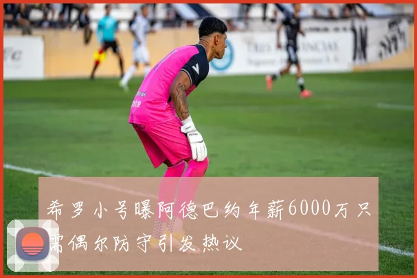 希罗小号曝阿德巴约年薪6000万只需偶尔防守引发热议