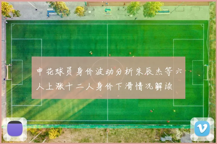 申花球员身价波动分析朱辰杰等六人上涨十二人身价下滑情况解读