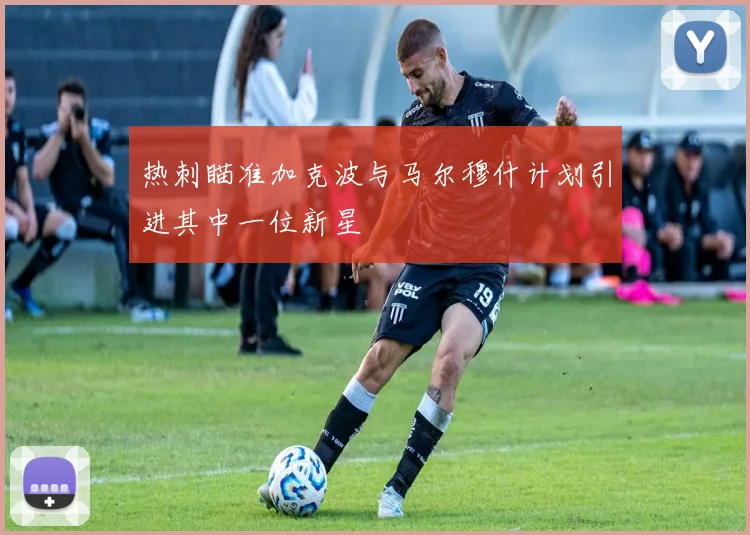热刺瞄准加克波与马尔穆什计划引进其中一位新星
