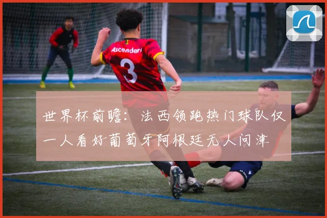 世界杯前瞻：法西领跑热门球队仅一人看好葡萄牙阿根廷无人问津
