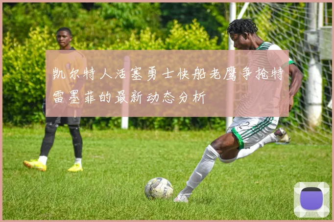 凯尔特人活塞勇士快船老鹰争抢特雷墨菲的最新动态分析